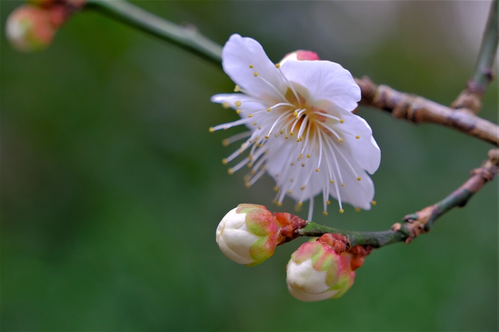 散歩の途中で。②
