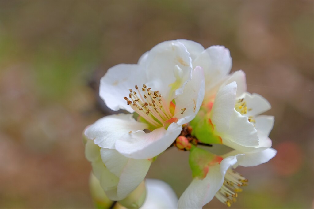 散歩の途中で。1