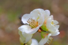 散歩の途中で。1