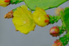 散歩の途中で。