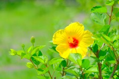 散歩の途中で。