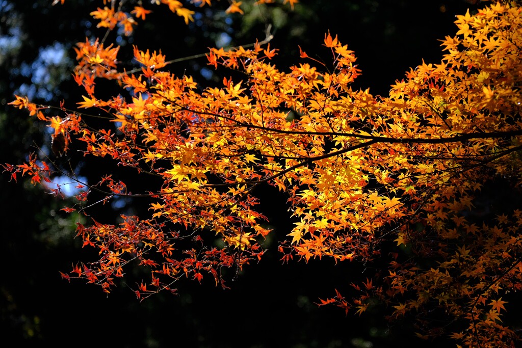 散歩の途中で、3