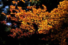 散歩の途中で、3