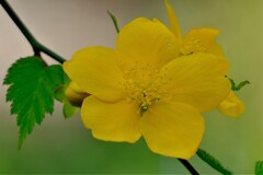 散歩の途中で。Ⅶ