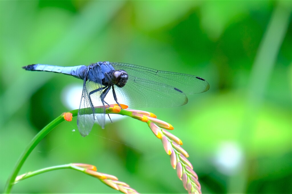 散歩の途中で。Ⅵ