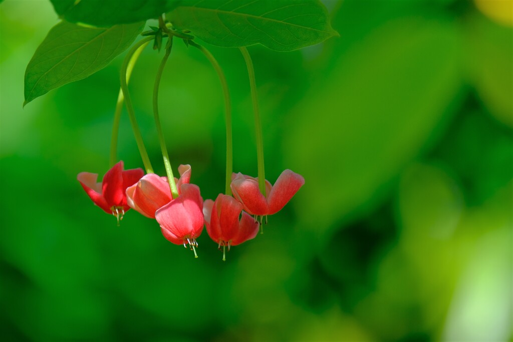 散歩の途中で。Ⅵ