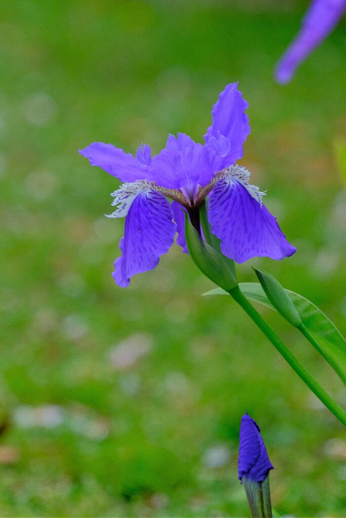 散歩の途中で。1