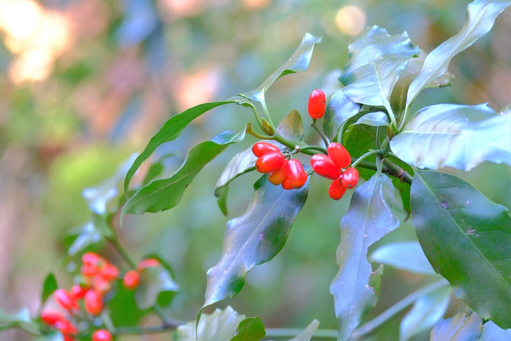 散歩の途中で。3