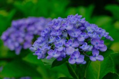 散歩の途中で。Ⅲ