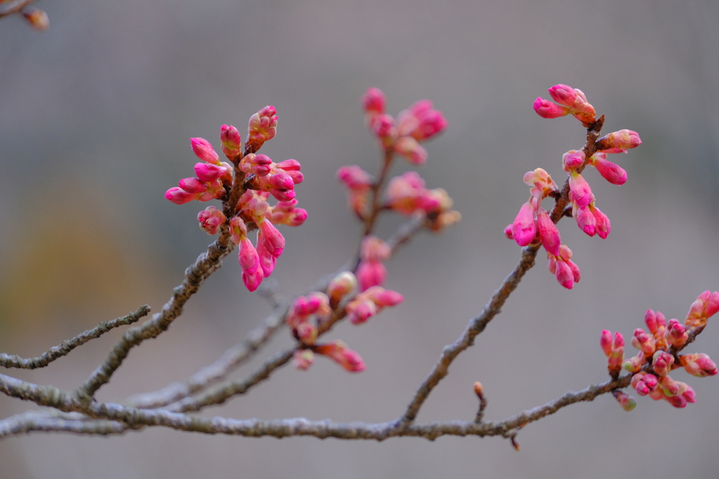 散歩の途中で。⑩