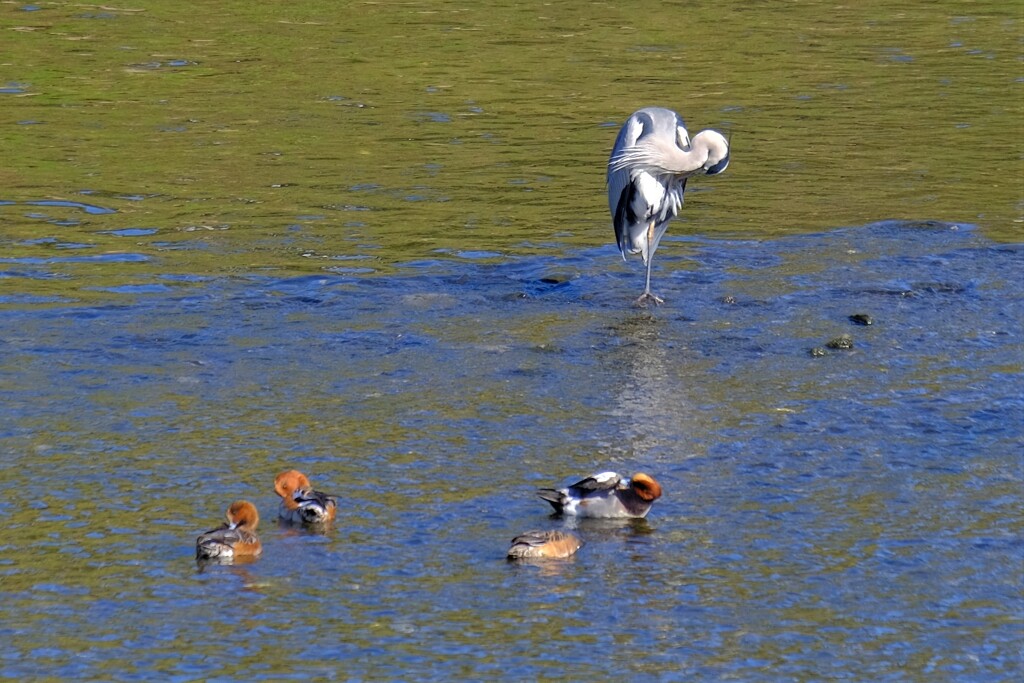 散歩の途中で。Ⅰ