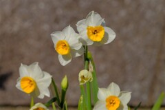 散歩の途中で。５