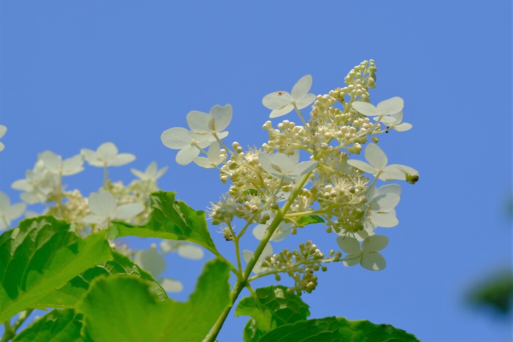 散歩の途中で。（10）