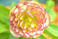 散歩の途中で。Ⅰ