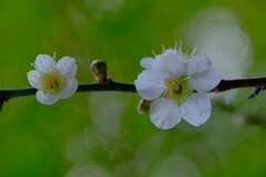 散歩の途中で。２