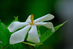 散歩の途中で。Ⅱ