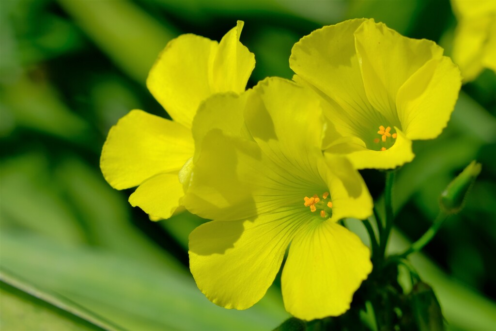 散歩の途中で。Ⅲ