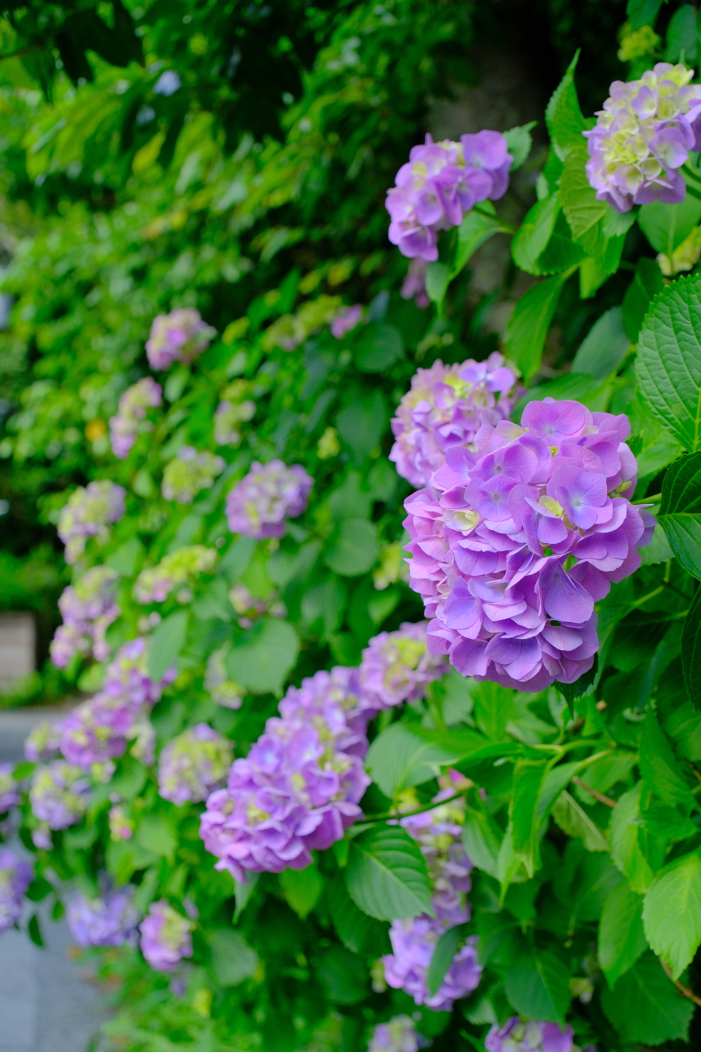 散歩の途中で。Ⅹ