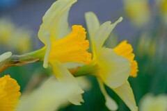 散歩の途中で。⑨