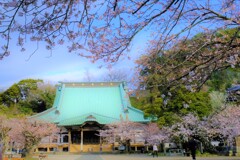 鎌倉、光明寺