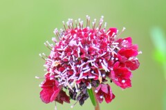 散歩の途中で。