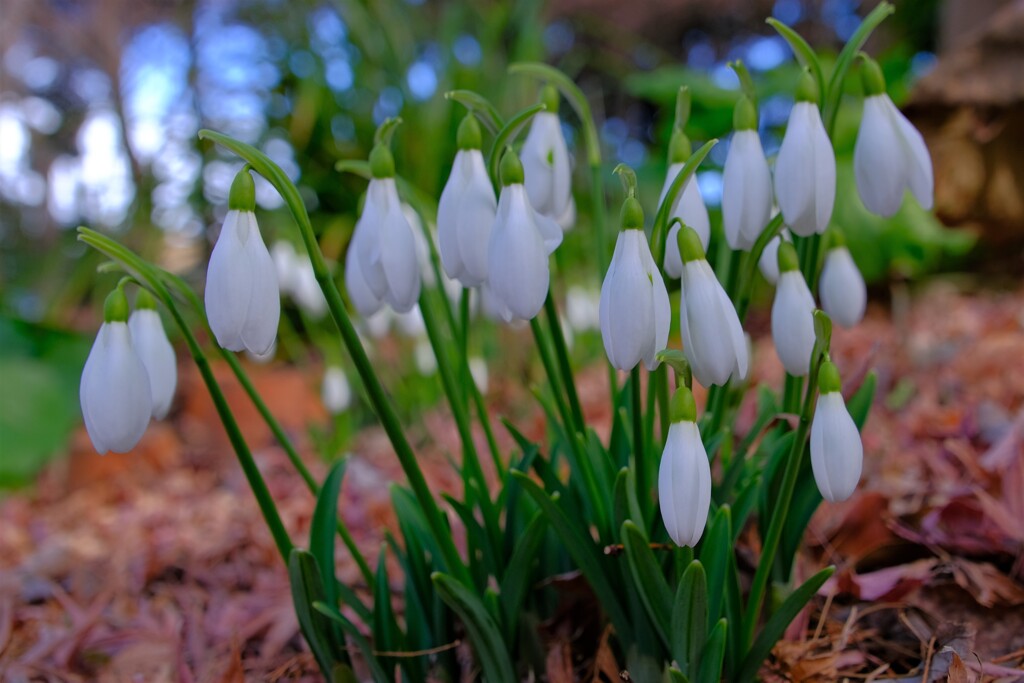 散歩の途中で。Ⅰ