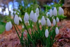 散歩の途中で。Ⅰ