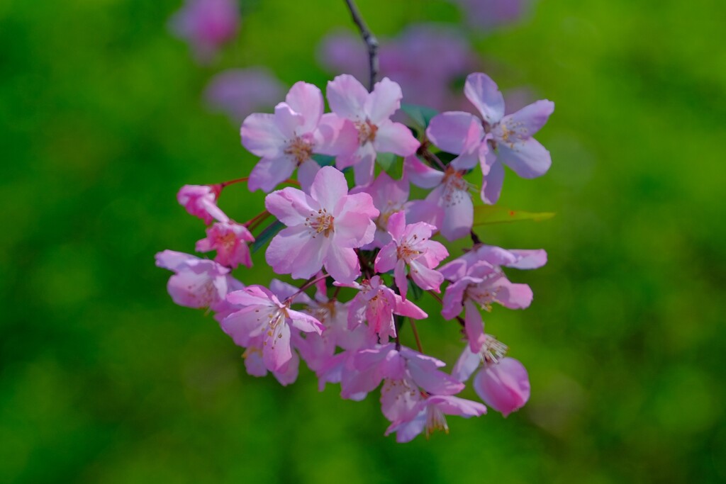 散歩の途中で。10