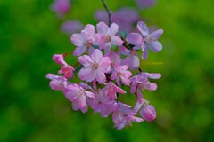 散歩の途中で。10