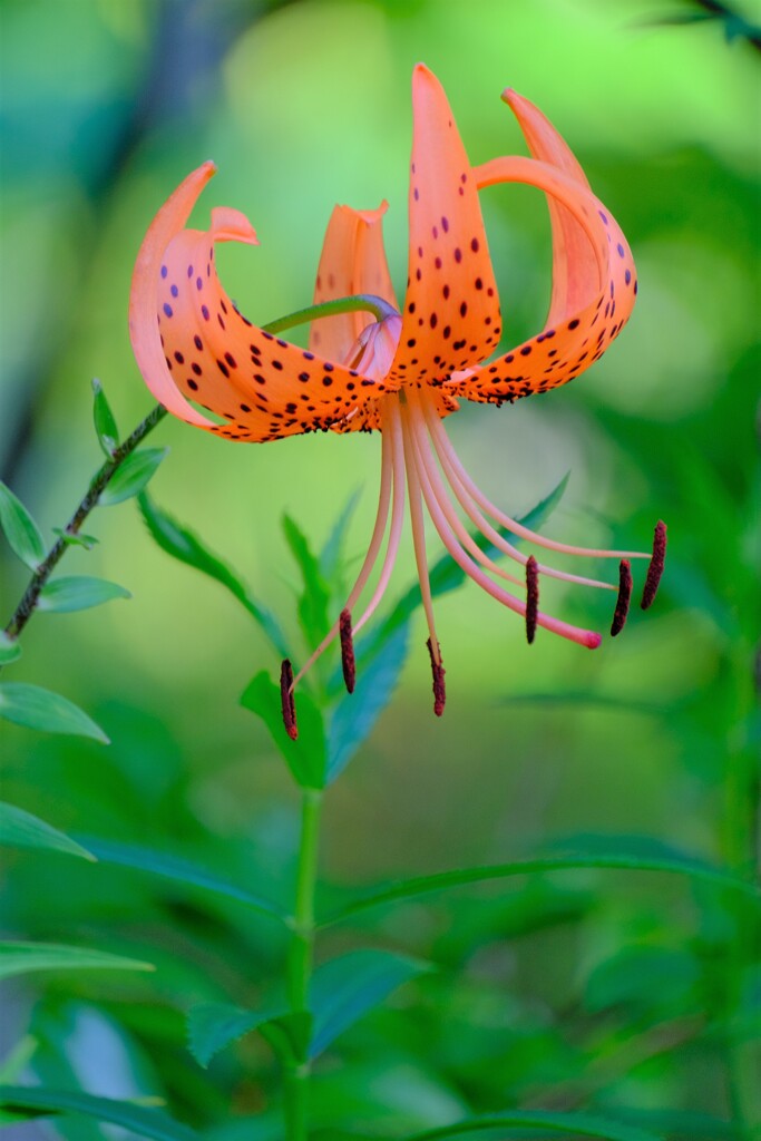 散歩の途中で。Ⅰ