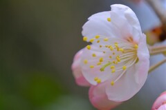 散歩の途中で。③