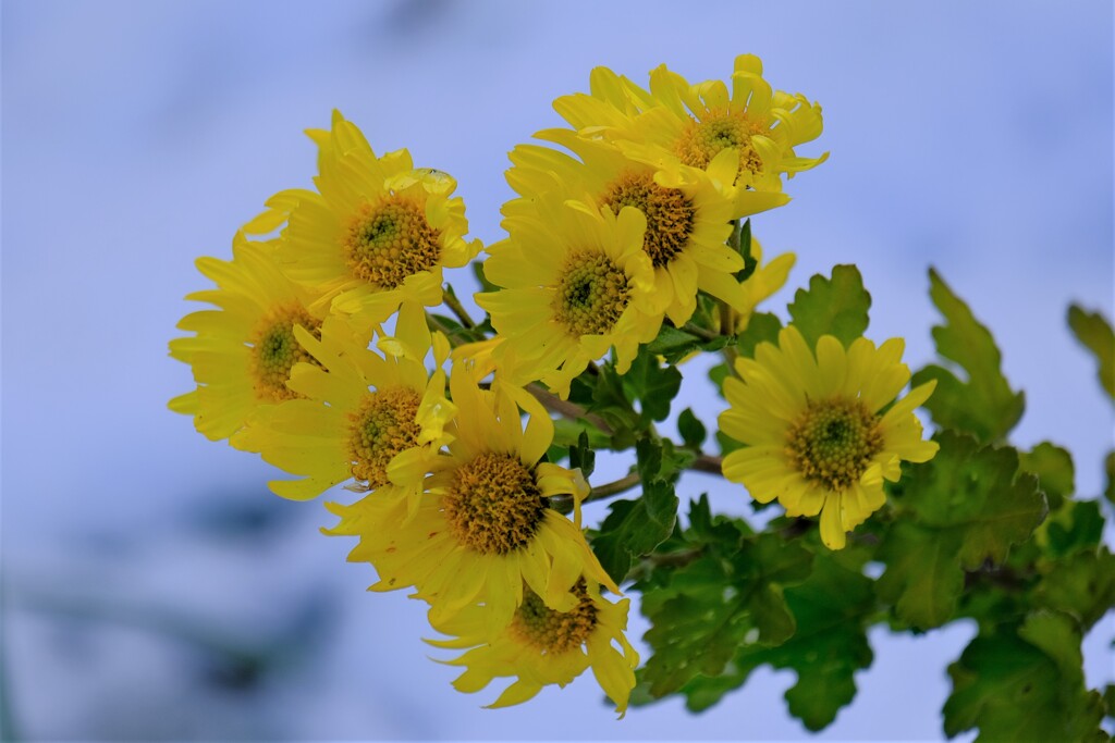 散歩の途中で。⑤