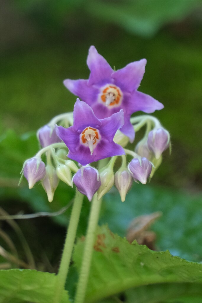 散歩の途中で。②