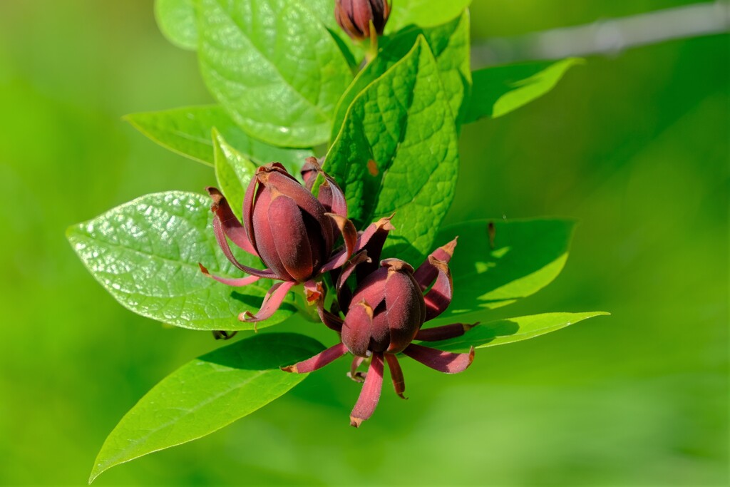 散歩の途中で。⑦
