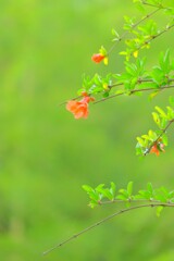 散歩の途中で。