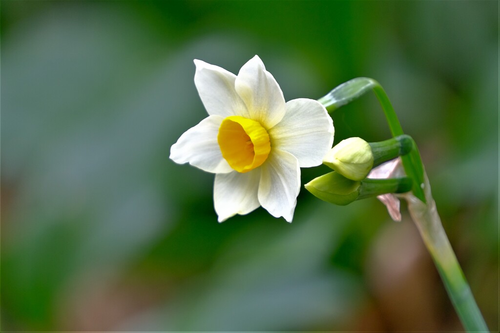 散歩の途中で。Ⅱ