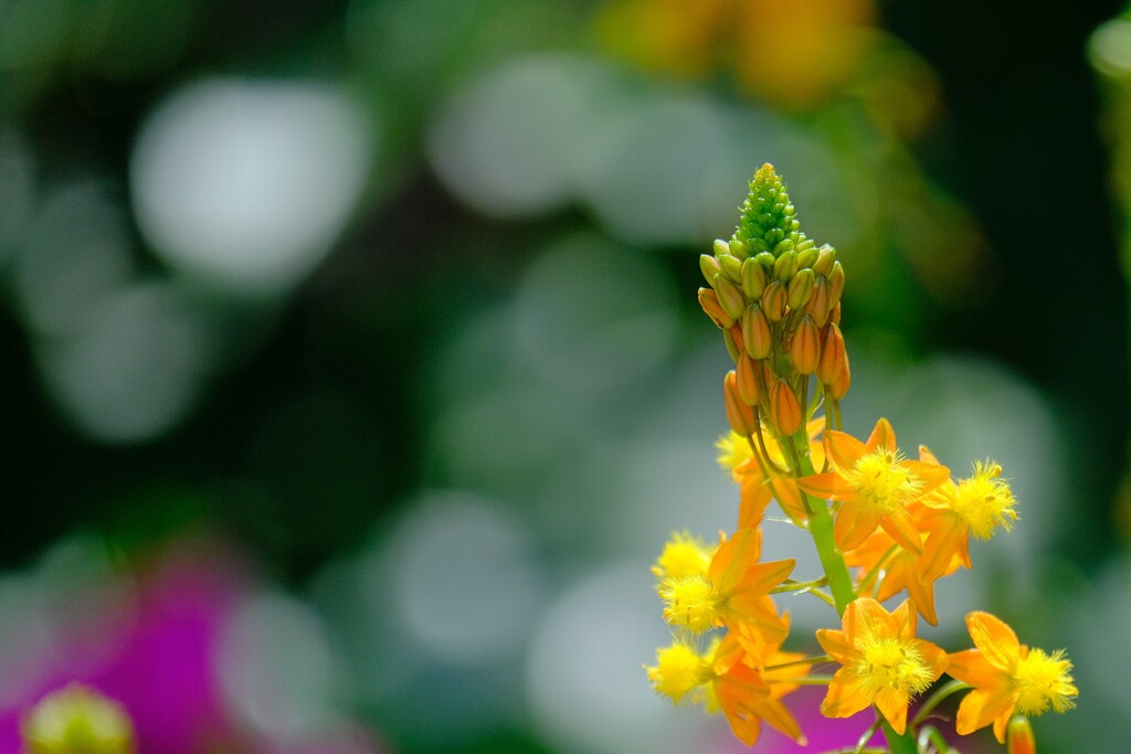 散歩の途中で。