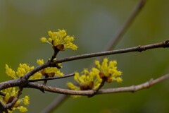 散歩の途中で。3