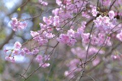 散歩の途中で。Ⅴ