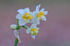 散歩の途中で。③