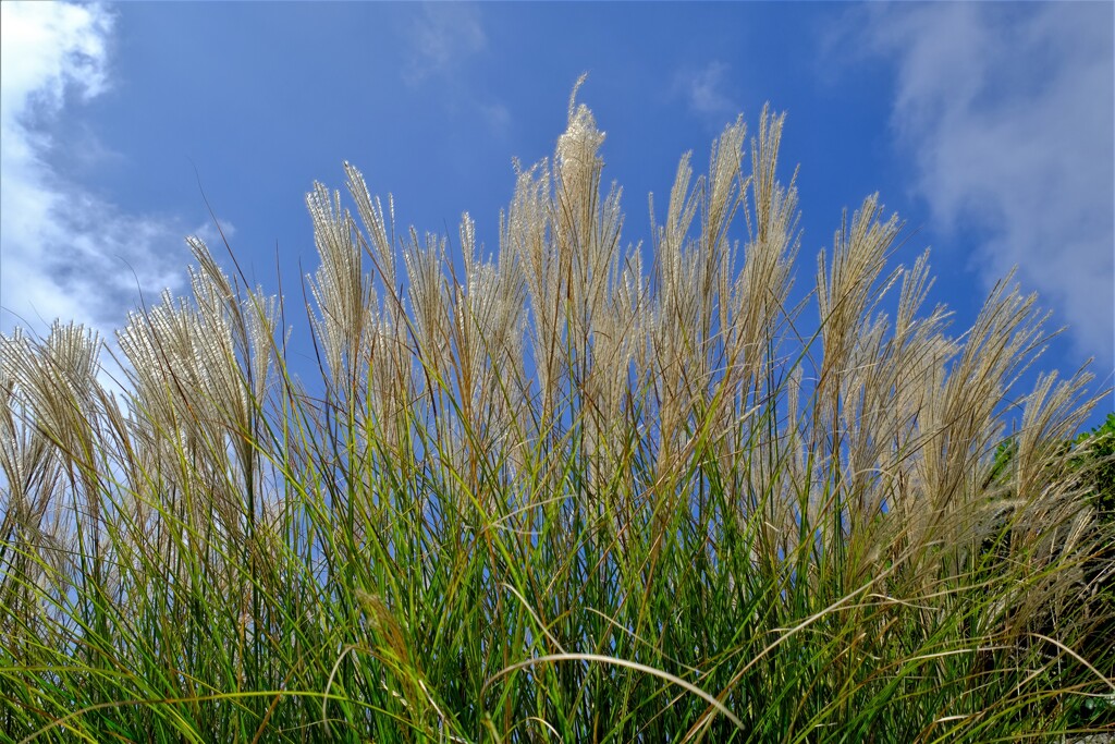 散歩の途中で。２