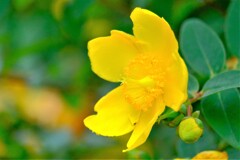 散歩の途中で。Ⅴ