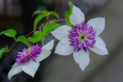 散歩の途中で。