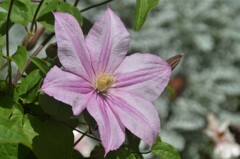 散歩の途中で。２