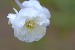 散歩の途中で。Ⅱ