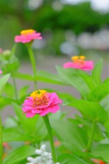 散歩の途中で。④