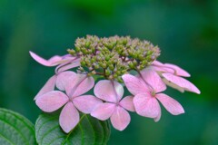 散歩の途中で。６