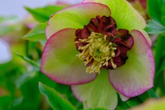 散歩の途中で。10