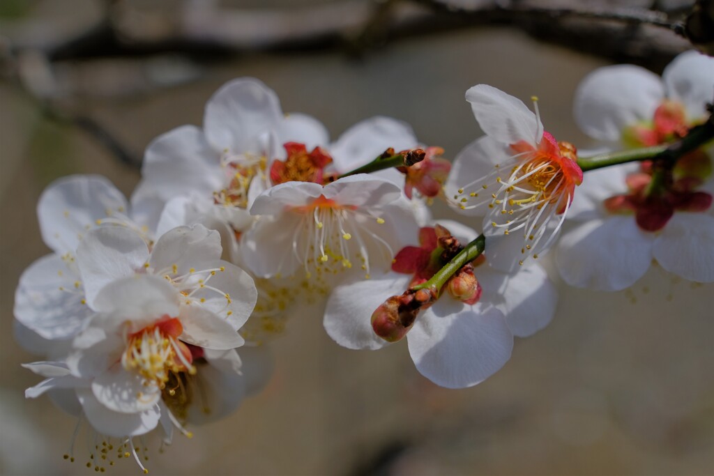 散歩の途中で。Ⅰ