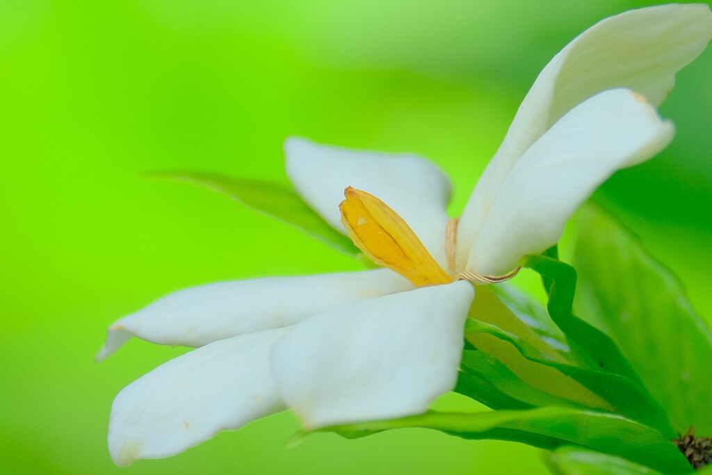 散歩の途中で。